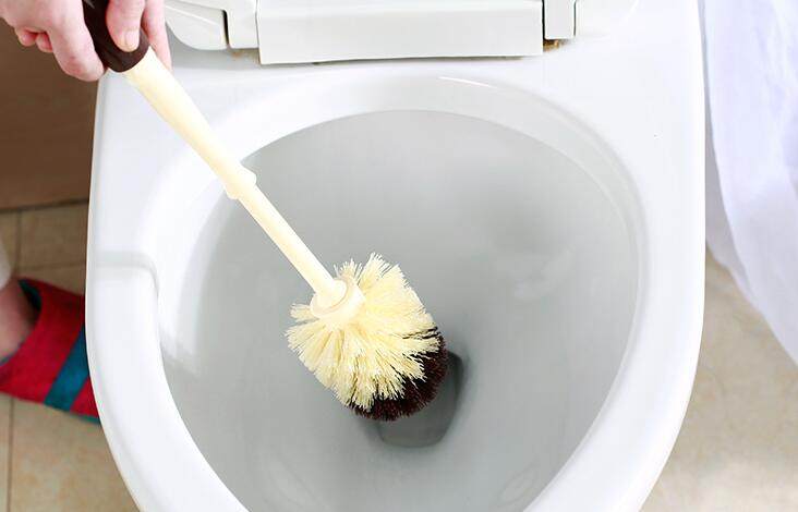 卫生间一到夏季就反臭味原因,夏天卫生间臭味难闻有什么小妙招