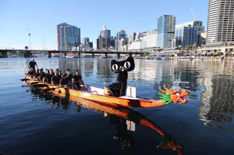 服气！天猫下单买个龙舟迎端午，超14米的包裹还从杭州运到悉尼！