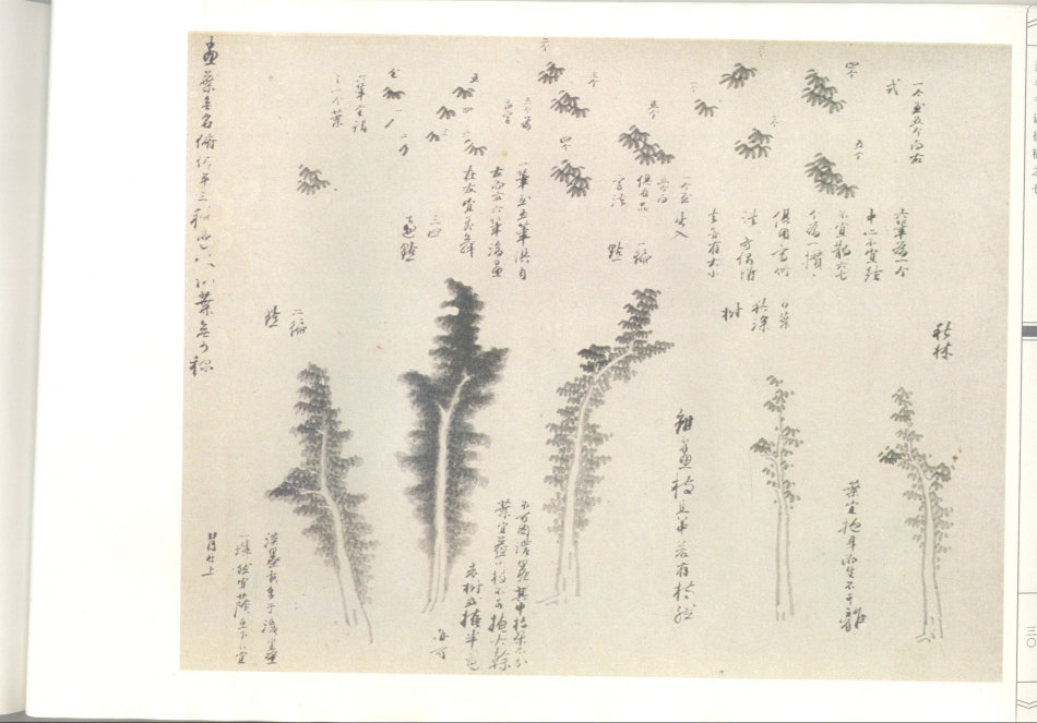 榫氬崐鍗冨北姘寸敾璁茶В,榫氬崐鍗冨北姘寸敾澶у浘