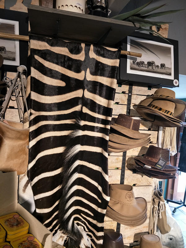 难得的惬意时光周末,享受周末这悠闲惬意的时光