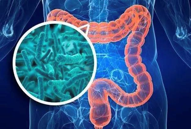 益生菌再认识，它是如何调节小儿免疫的？