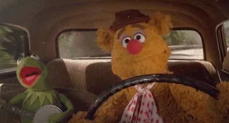 *春华胡**副总理来鹿泉了！