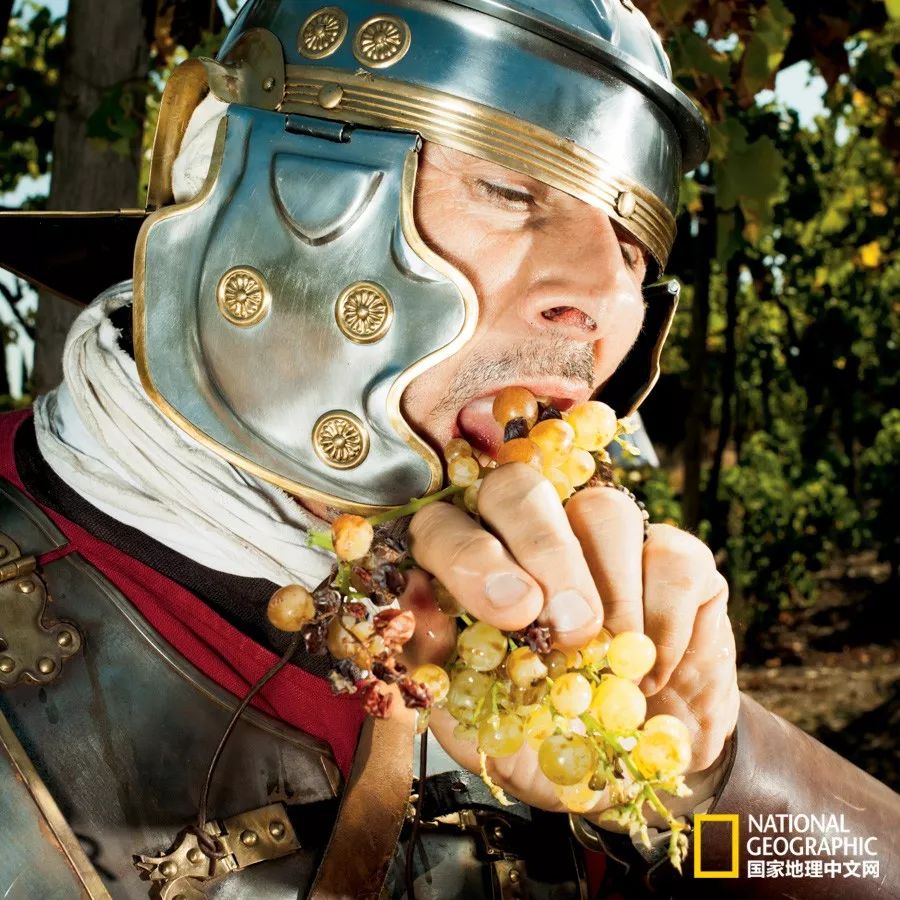 “对球当歌,人生几何”,看世界杯时为什么爱喝酒呢?