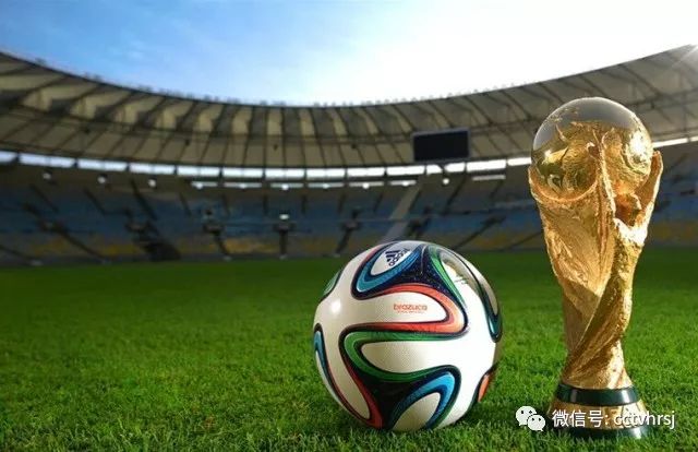 俄罗斯世界杯中国,2019女排世界杯中国俄罗斯