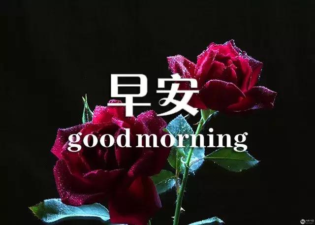 闹钟在吵早安祝福语,闹钟在响喜鹊在叫