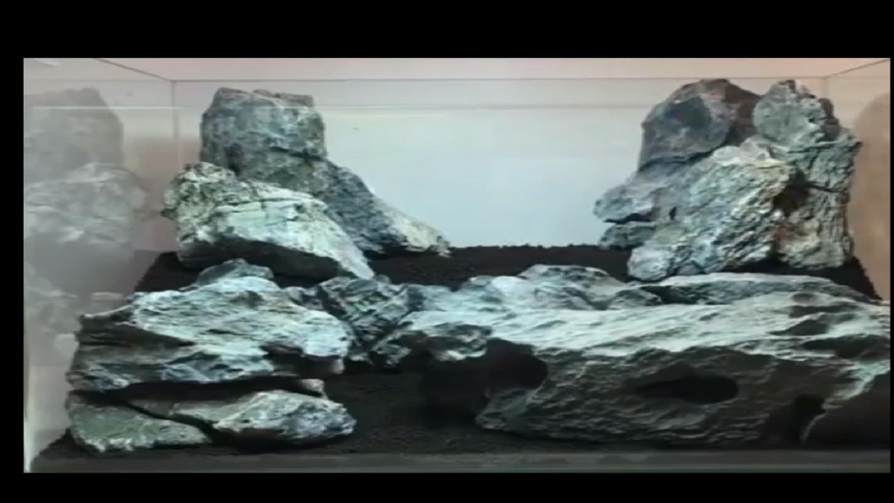 40*40原生莫斯草缸造景作品,鱼缸造景效果图草缸怎么才能通透