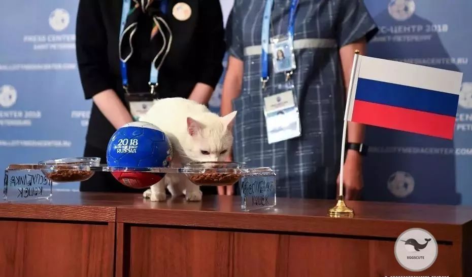 世界杯大幕拉开,世界杯开幕式精彩回放