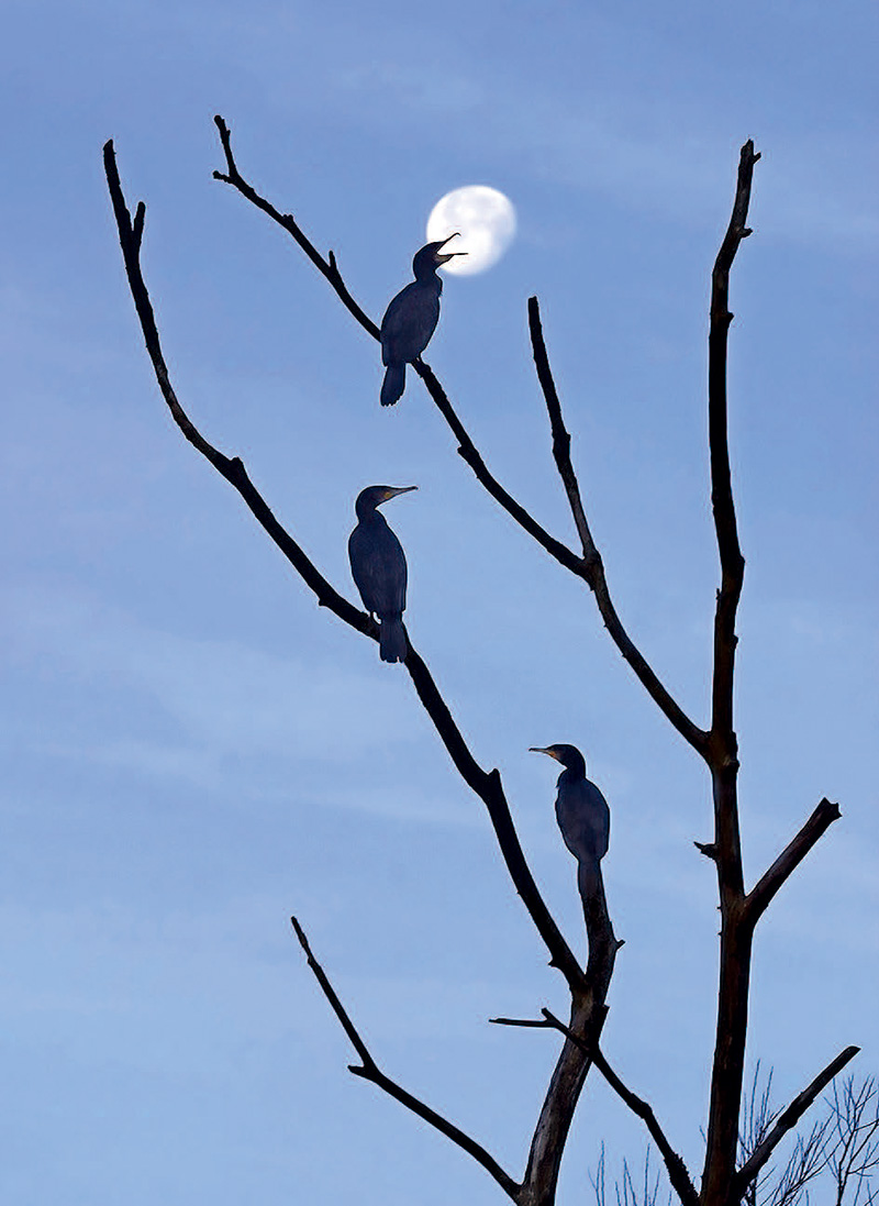 鎯犳儬鎽勫奖浣滃搧娆ｈ祻,鎯犳媿鎽勫奖