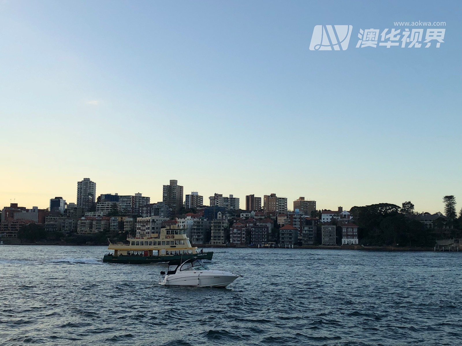 悉尼市发展规划,悉尼前瞻采访