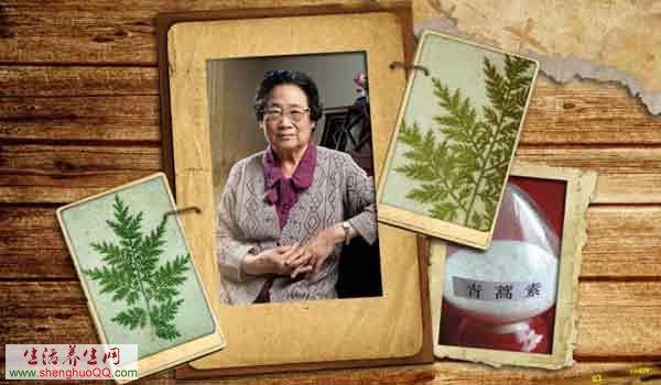 养殖10亿只蟑螂,四川成都蟑螂养殖基地