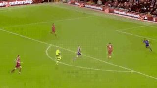 世界杯装啤酒容器,世界杯装腔指南荷兰