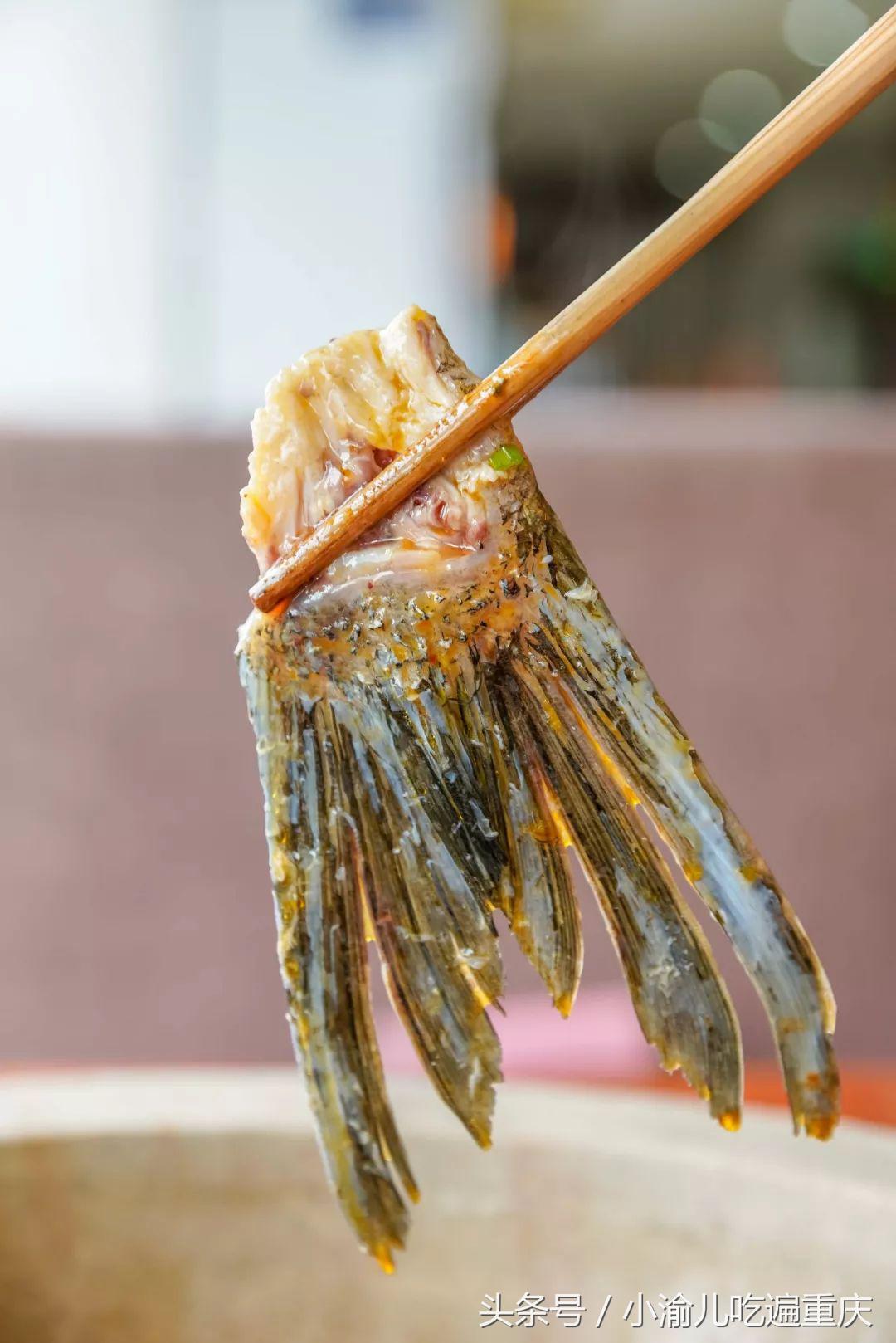 我要回杨家坪！因为这里的蒸汽石锅鲜椒鱼，让我……