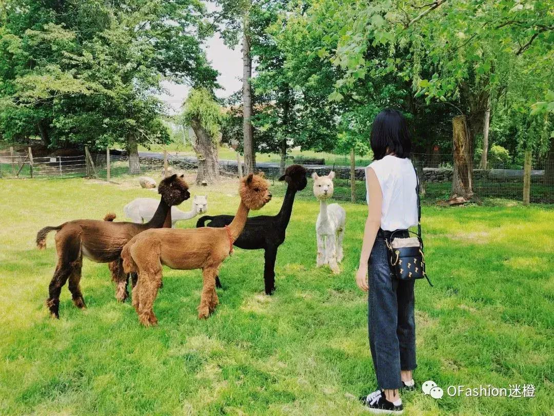 毕业季｜你有一封万元搞定大牌包礼物清单