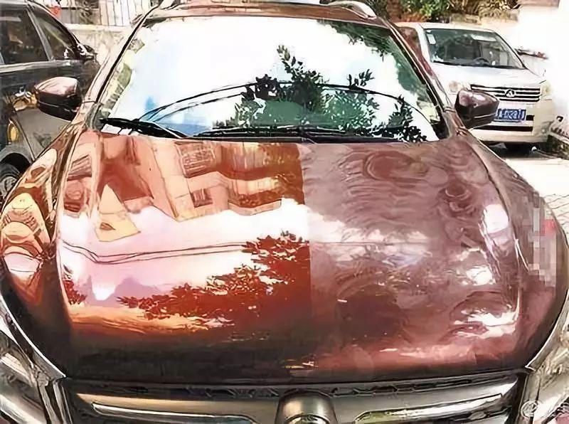 自己动手打蜡洗车用什么蜡比较好,自己给车打蜡最好使用什么蜡