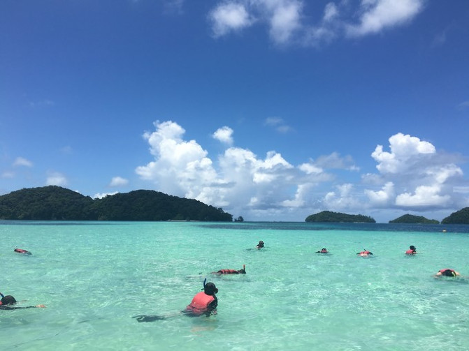 帕劳海底之旅,帕劳的海底