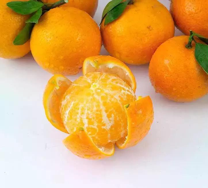 如果肇庆的美食及美景来一场足球赛，胜出的将会是……