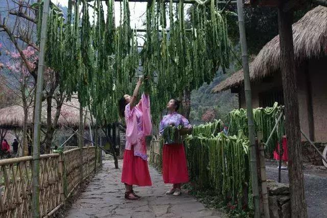 端午小长假来这里感受原乡魅力,端午节重庆去哪玩最佳攻略