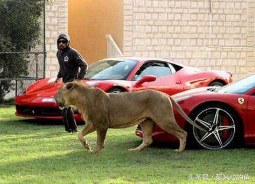 足球专业术语一览表,足球专业术语大全图片