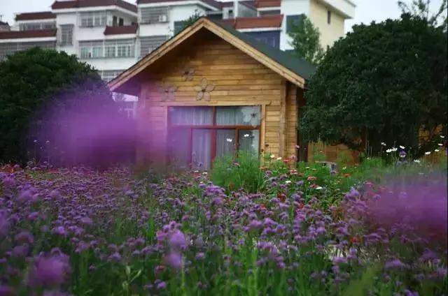 义乌游玩好去处义乌海洋世界,义乌五一亲子游推荐水上乐园