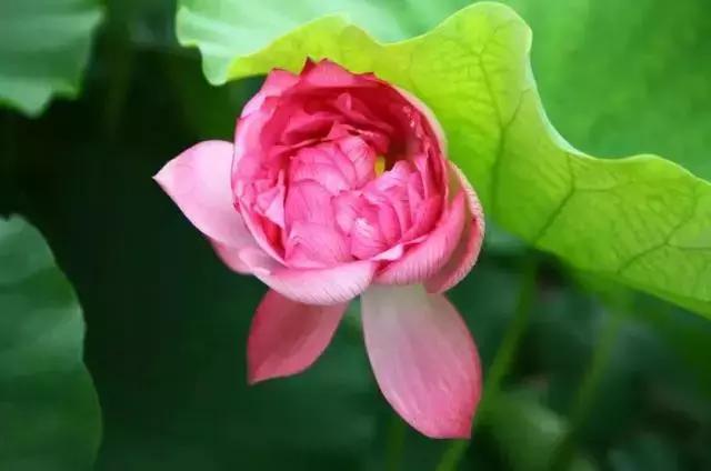 义乌游玩好去处义乌海洋世界,义乌五一亲子游推荐水上乐园