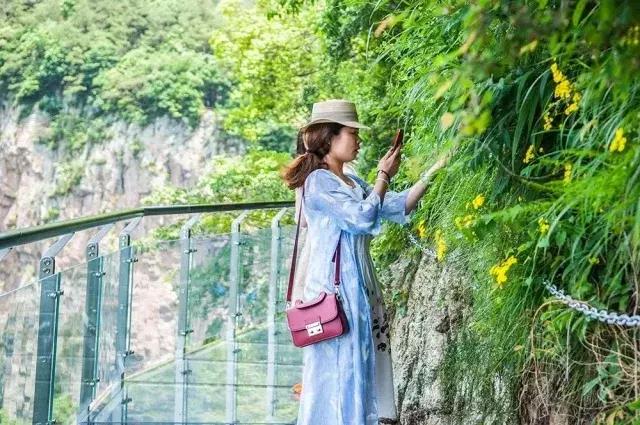 浙江玻璃栈道风景区排名,浙江玻璃栈道