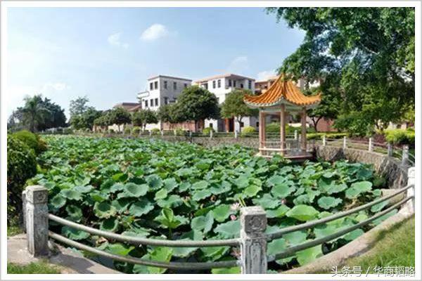 最早赞助世界赛事的中国企业家,走到最后说自己死了比活着舒服