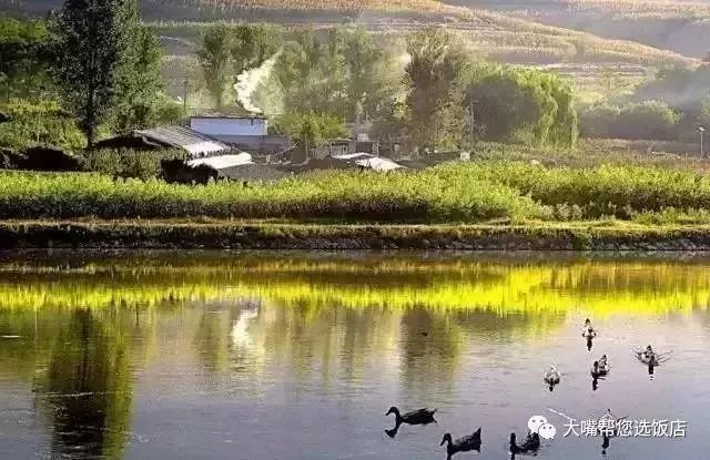 大连自驾游的游记,大连近郊游自驾推荐