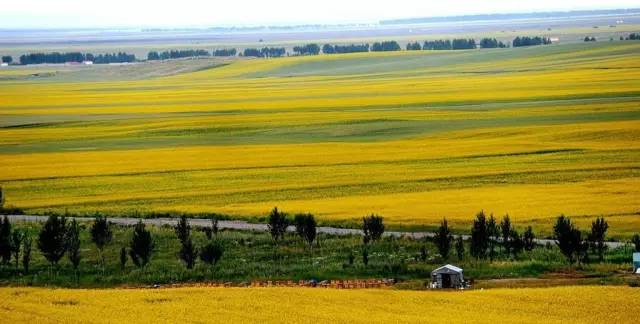 蜂蜜标准19330和14963区别,正品蜂蜜的执行标准代号