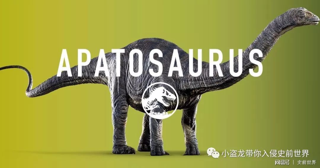 侏罗纪世界2一口气看完解说,《侏罗纪世界2》所有恐龙的名字