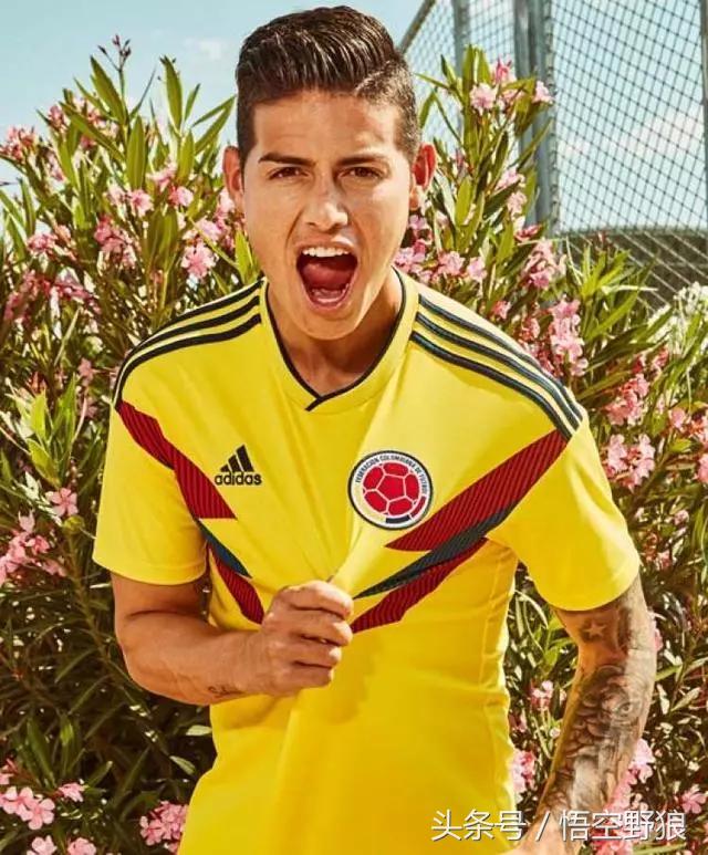 2022年世界杯32种球衣,2018世界杯足球赛各队球衣