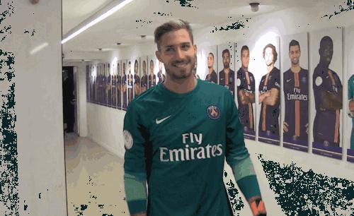 世界杯肉肉的仙人球,世界杯金肉肉