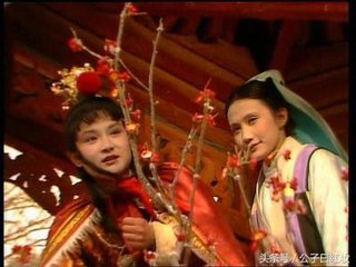 金陵十二钗曹雪芹排序,曹雪芹描写金陵十二钗的诗句