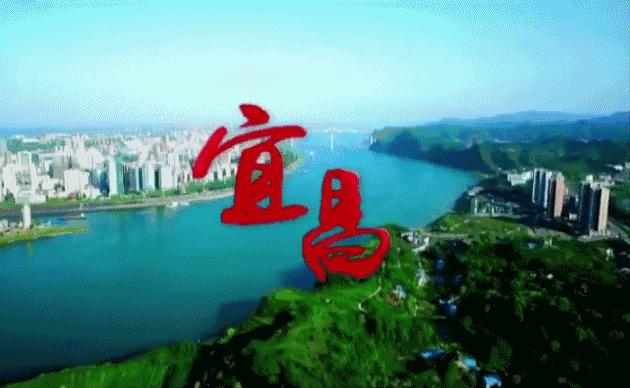 湖北名医上门义诊,武汉中医义诊