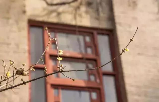 超级英雄父亲节礼物,父亲节超级英雄