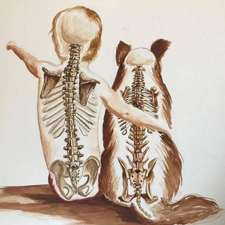 有个当医生的老公什么感觉,家有个骨科医生爸爸有什么体验