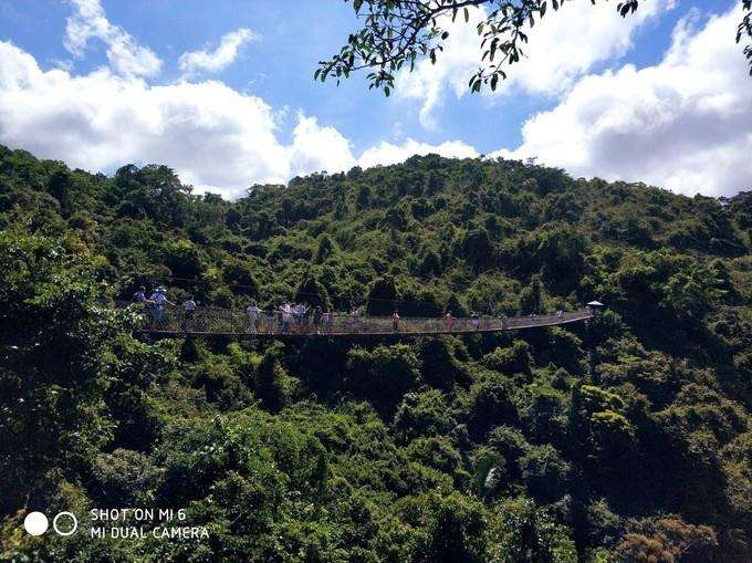 旅行结婚,结婚旅行适合去哪