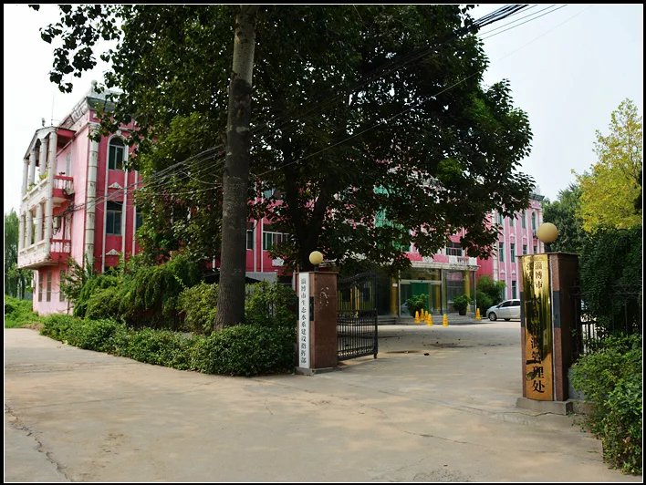 山东淄博六哥,六哥逛淄博