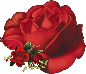 关于端午节的吉祥语送给朋友,端午节提前给大家送祝福