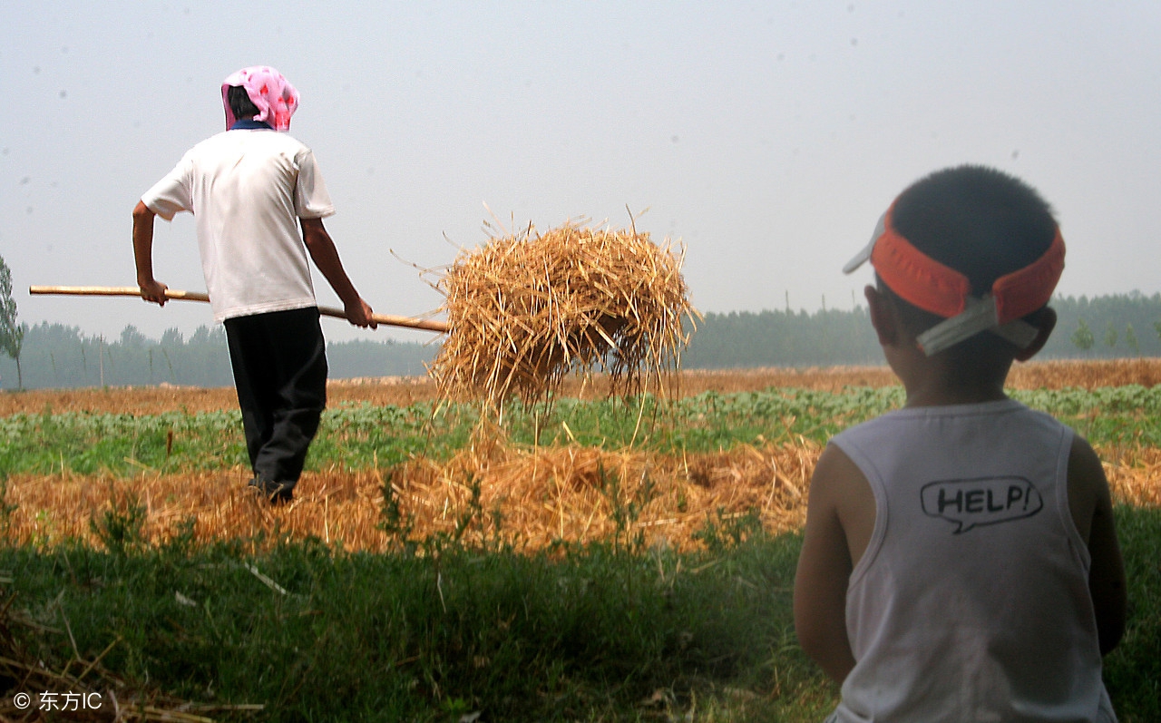 有关父亲的歌有哪几首经典,关于父亲的歌曲有多少首