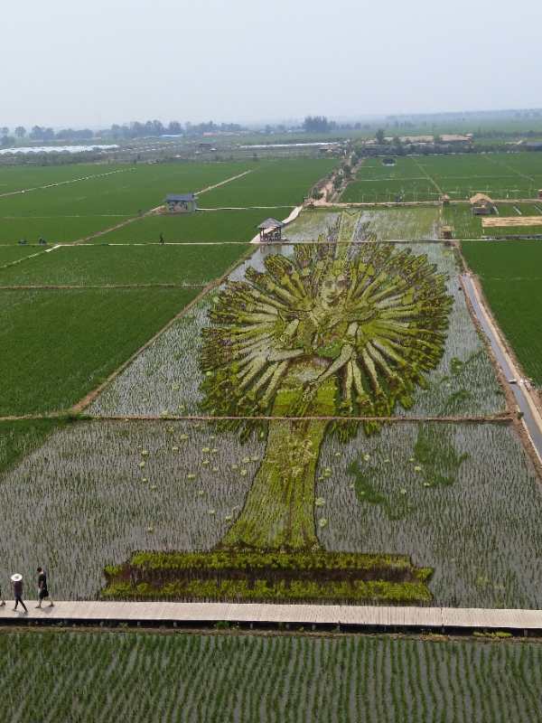 沈北新区锡伯族嘉年华,沈阳沈北新区泥巴节