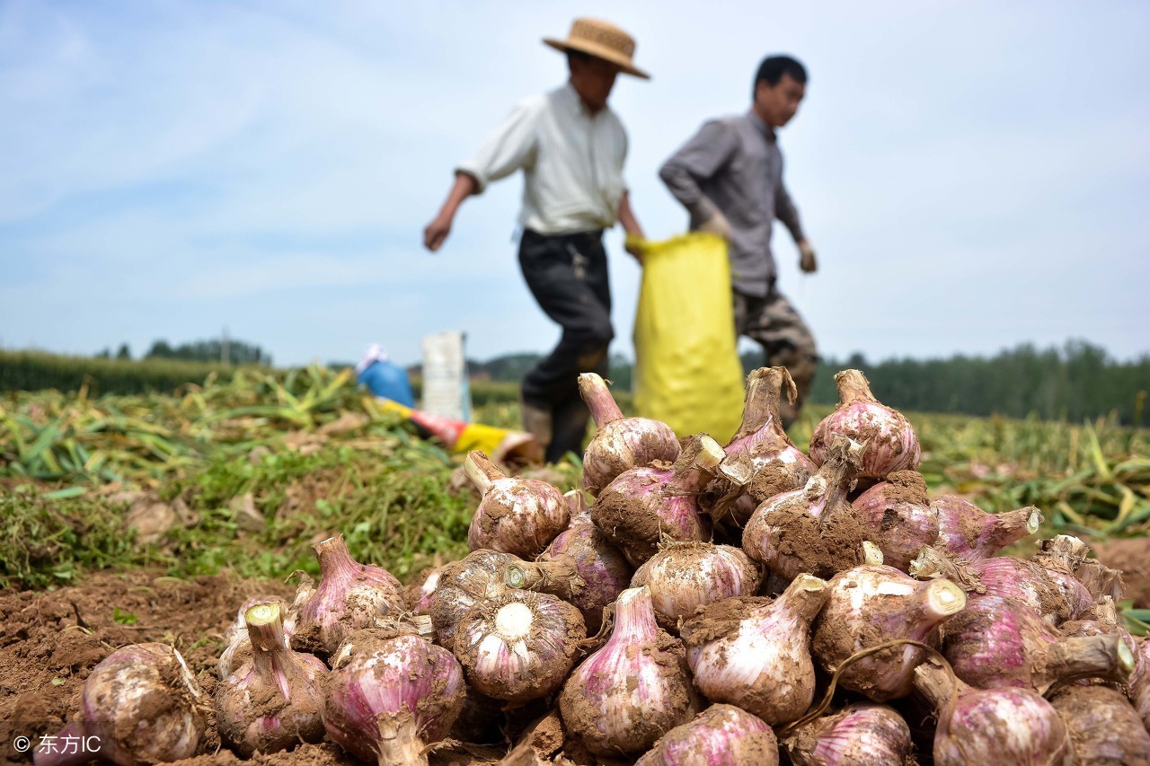 中暑急救土方法,中暑急救中医的方法和步骤