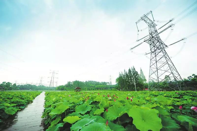 天府新区农村改造,成都天府新区乡村