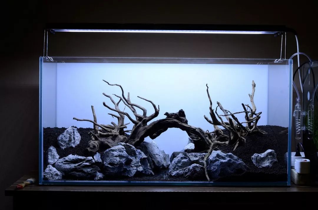 沉木泡了一年了还是掉色,沉木发黑怎么彻底处理