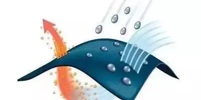 高圆圆刘雯同款单品,高圆圆刘雯内搭