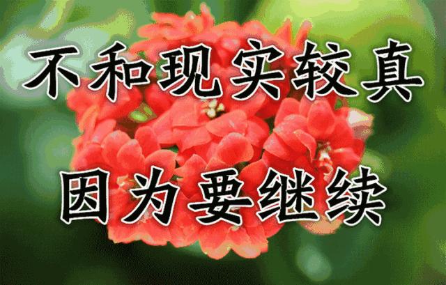 难忘老同学相聚,难忘同窗情诗词祝福语