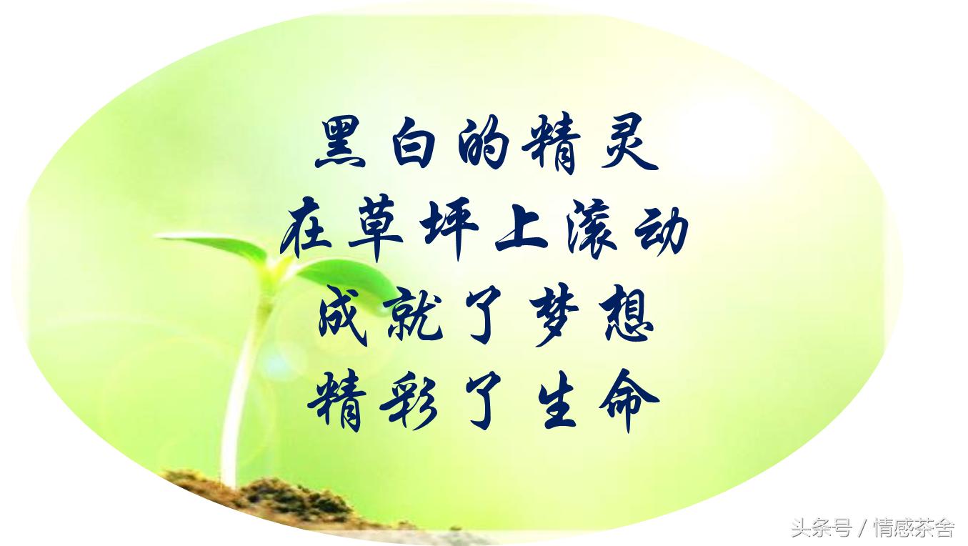 看球重要还是女友重要,看球重要还是女人重要