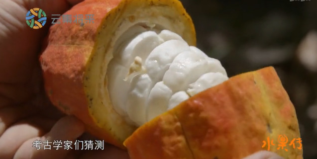 舌尖上的水果世界纪录片,被称为舌尖上的中国后续的纪录片