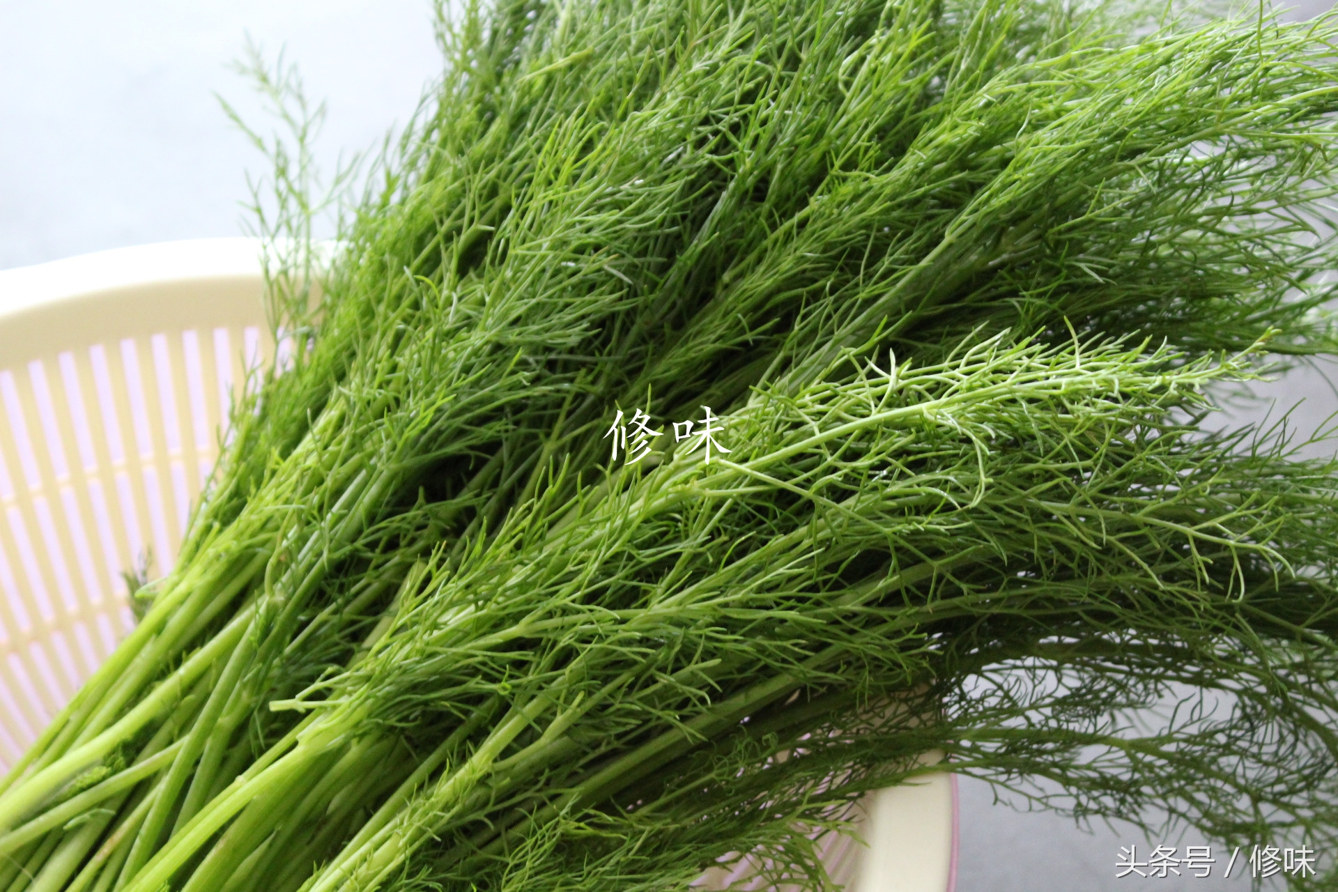 儿童补钙饺子馅的做法大全,补钙饺子馅配方大全