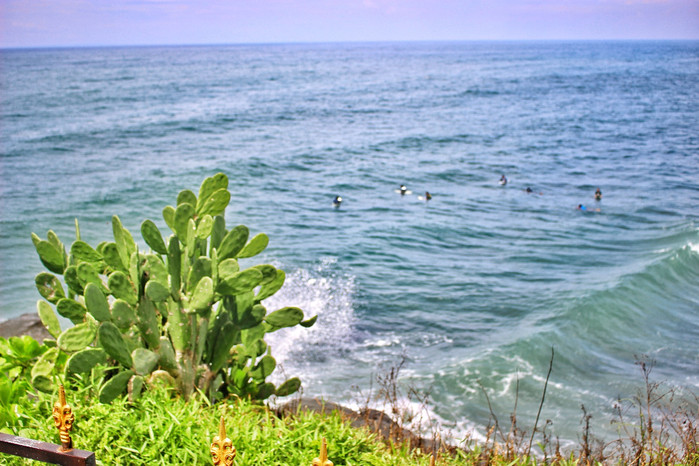 巴厘岛怎么玩省钱又舒服,巴厘岛攻略自由行详细