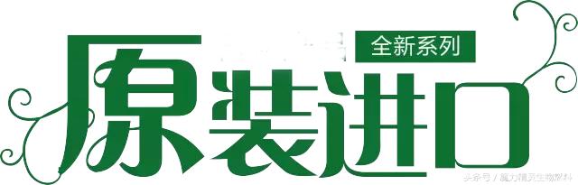 魔力精灵教大家辨别什么进口产品!